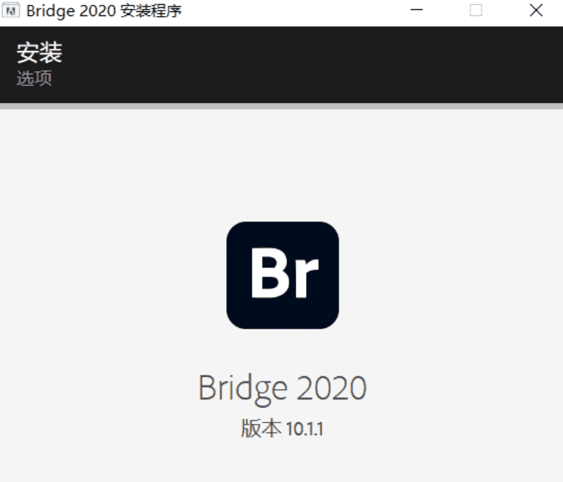 专业图像管理软件Adobe Bridge 2020 简称BRv10.1.1.166.0插图1