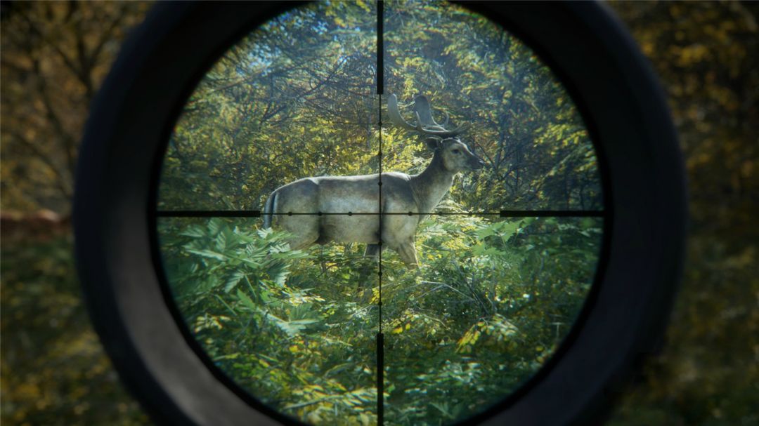 第一人称射击打猎游戏《猎人：荒野的呼唤》v1959233-3