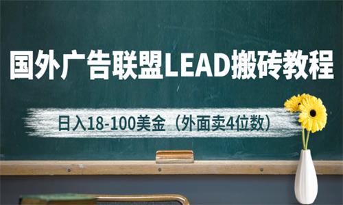 外面卖4位数的国外广告联盟LEAD搬砖教程，日入18-100美金（教程+软件）插图