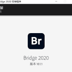 专业图像管理软件Adobe Bridge 2020 简称BRv10.1.1.166.0