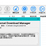Internet Download Manager v6.38.2 简体中文免激活绿色版