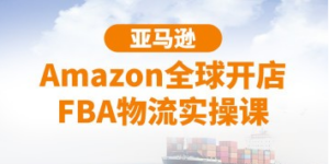 亚马逊Amazon全球开店FBA物流实操课