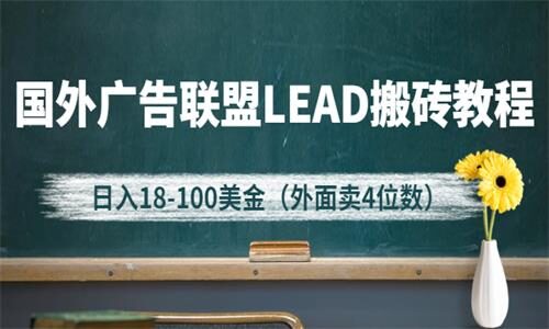 外面卖4位数的国外广告联盟LEAD搬砖教程，日入18-100美金（教程+软件）
